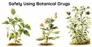 Safely Using Botanical Drugs