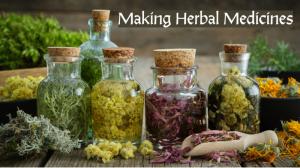Making Herbal Medicines
