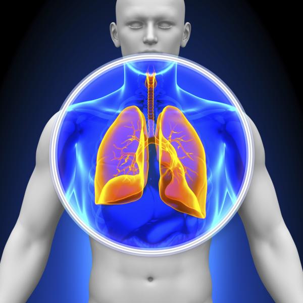 Lungs magnified