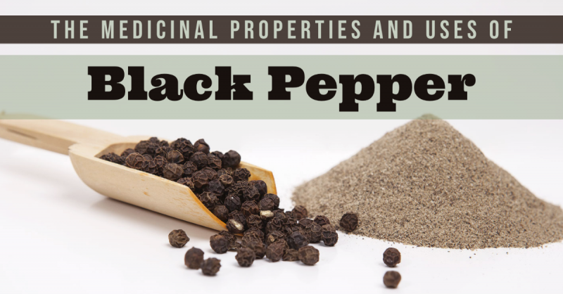 The Medicinal Properties of Black Pepper: The Health Benefits of the World’s Most Common Kitchen Spice