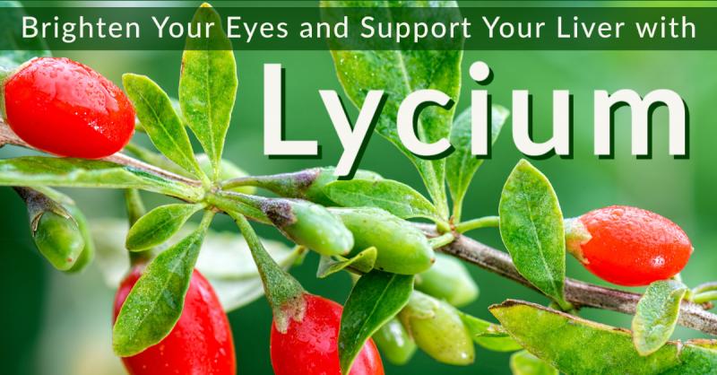 Brighten Your Eyes and Support Your Liver with Lycium