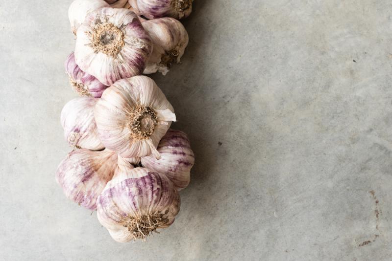 Garlic for Cardiovascular Health