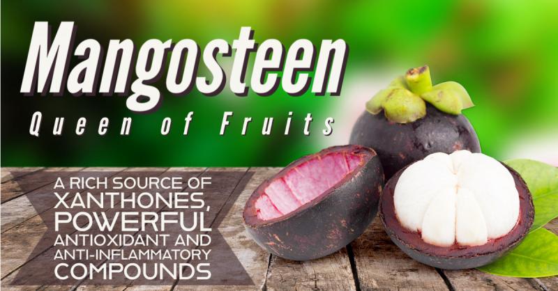 Mangosteen and Xanthones: The Queen of Fruits