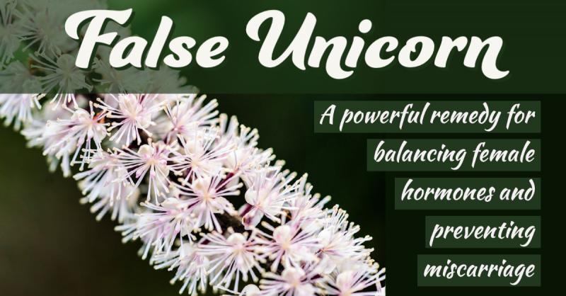 False Unicorn: A powerful remedy for balancing female hormones and preventing miscarriage