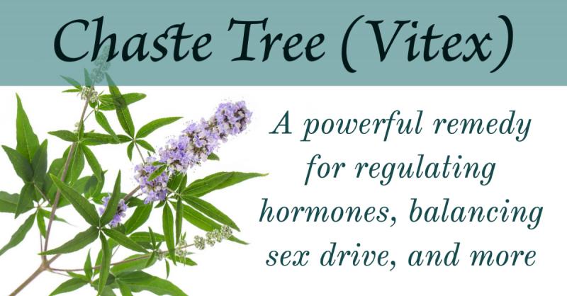 Chaste Tree (Vitex): A powerful remedy for regulating hormones, balancing sex drive, and more