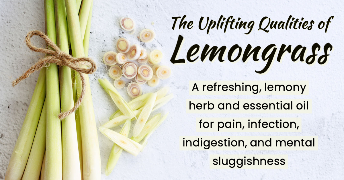 The Uplifting Qualities of Lemongrass Article