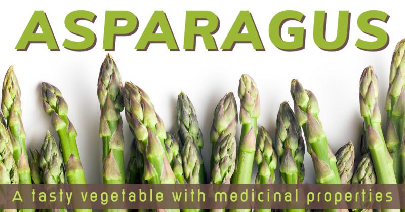 Asparagus: A Tasty Vegetable with Medicinal Properties