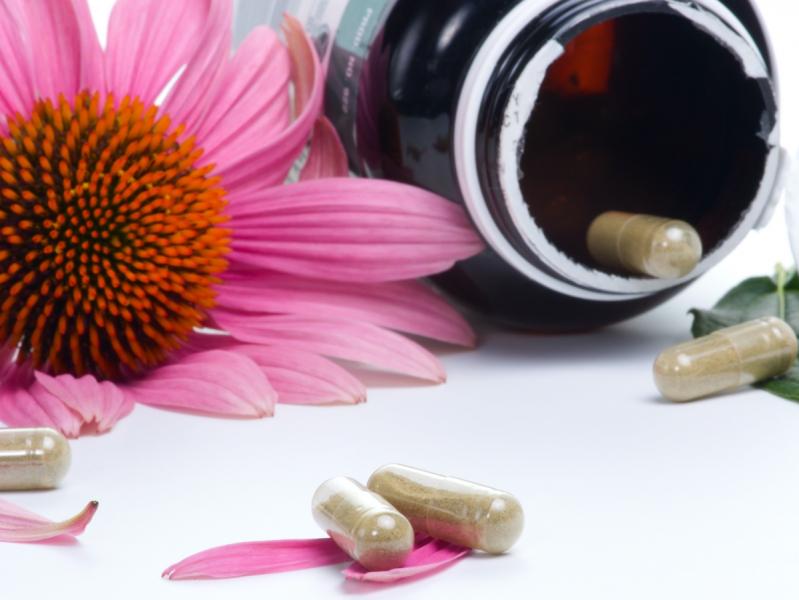 Echinacea Immune Herbs