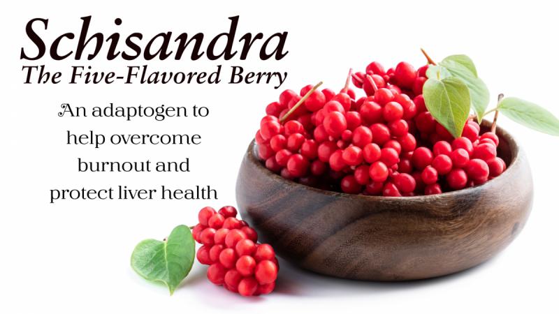 Schisandra: The Five-Flavored Berry: An adaptogen to help overcome burnout and protect liver health