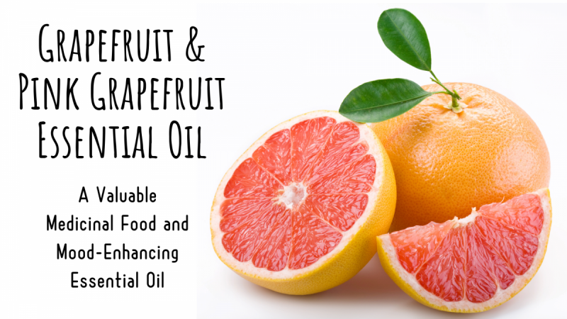 Grapefruit and Pink Grapefruit Essential Oil: Valuable Medicinal Food and Mood-Enhancing Essential Oil 