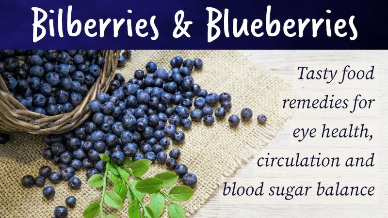 Bilberries and Blueberries: Tasty food remedies for eye health, circulation and blood sugar balance