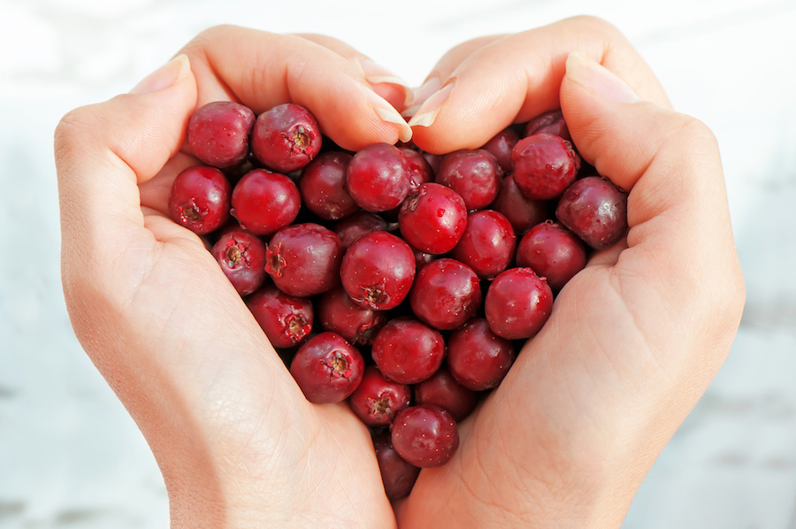 Hawthorn Heart Health and Beyond Article