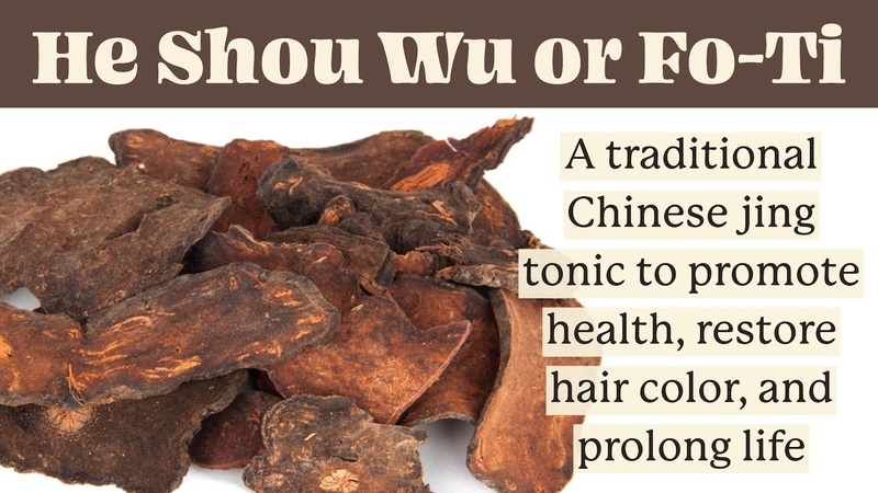 He Shou Wu (Fo-Ti): A traditional Chinese jing tonic to promote health, restore hair color, and prolong life