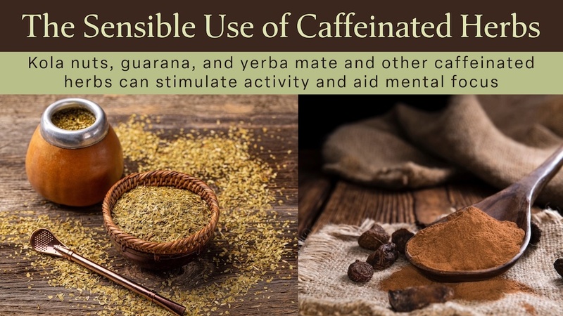 The Sensible Use of Caffeinated Herbs: Kola nuts, guarana, and yerba mate and other herbs can help stimulate and aid mental focus