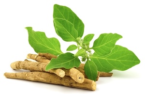 Ashwagandha Complex Formula