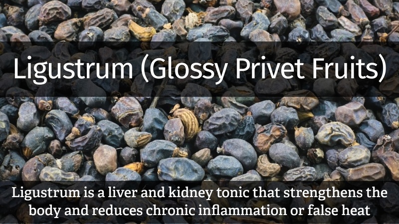 Ligustrum (Glossy Privet Fruits): Ligustrum is a liver and kidney tonic that strengthens the body and reduces chronic inflammation or false heat