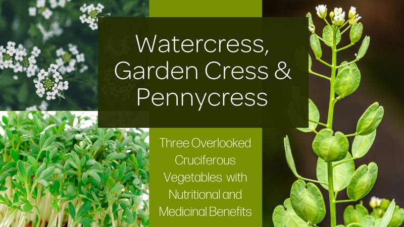 Watercress, Garden Cress, and Pennycress: Three valuable overlooked cruciferous vegetables with nutritional and medicinal benefits  
