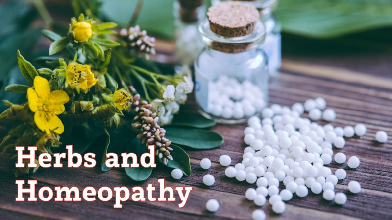 Herbs & Homeopathy: Homeopathy provides insights into how herbs work and allows us to use toxic herbs safetly