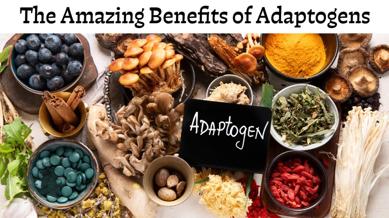 The Amazing Benefits of Adaptogens: Adaptogens act as tonics to help our body adjust to physical, mental, and emotional stress