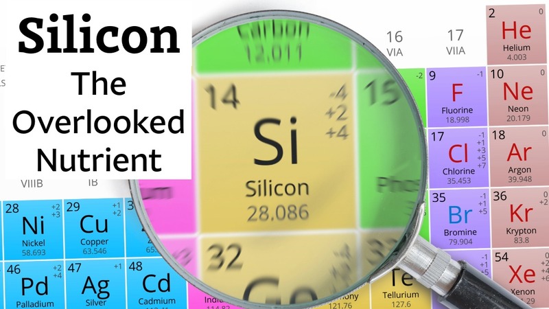 Silicon: The Overlooked Nutrient: Silicon adds strength and flexibility to hair, skin, fingernails, bones, joints, and even the brain