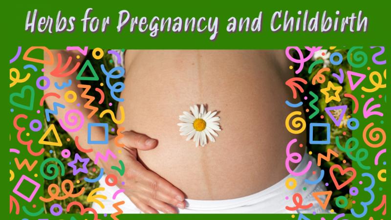 Herbs for Pregnancy and Childbirth: Creating A Healthy Start to Life