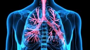  Respiratory System Formulas 
