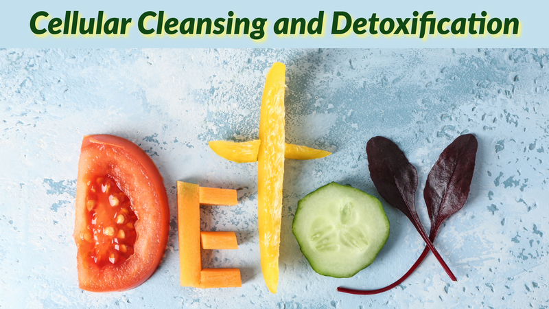  Cellular Cleansing and Detoxification