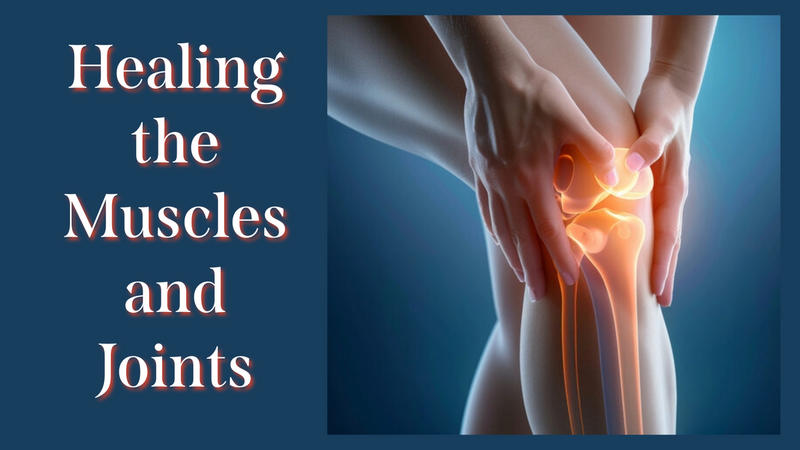  Healing the Muscles and Joints