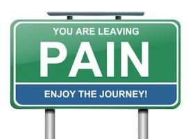 A Holistic Approach to the Problem of Pain