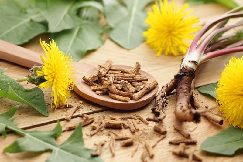 Dandelion Parts