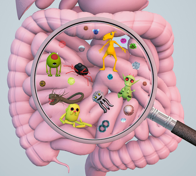 Dysbiosis