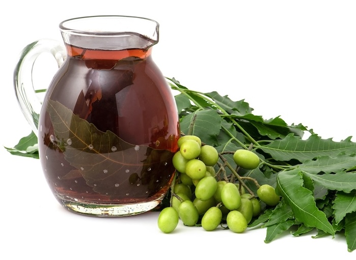 neem leaves fruits decoction