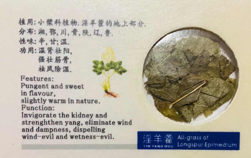 Longspur Epimedium