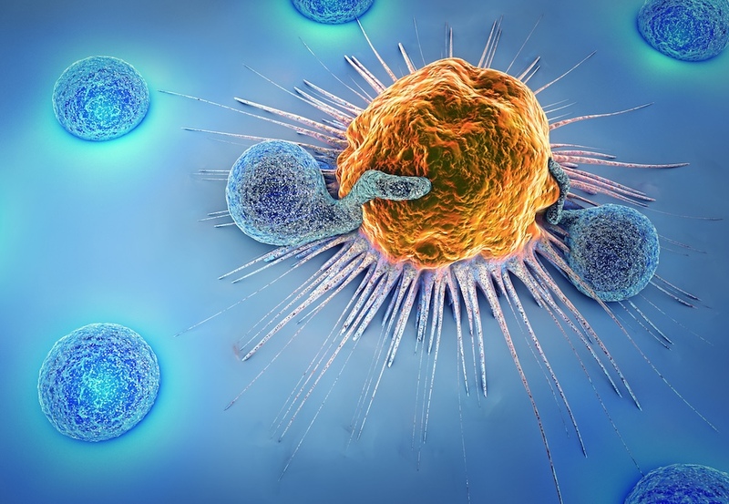 cancer cell white blood cells