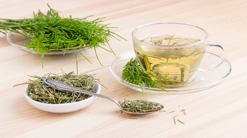 horsetail tea