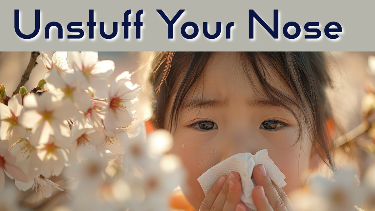 Unstuff Your Nose: Overcoming Allergies and Chronic Sinus Problems