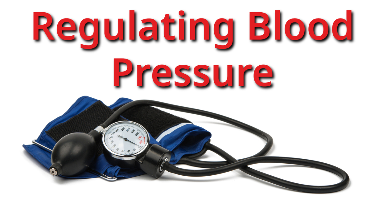 Regulating Blood Pressure: Exploring real solutions to the problem of hypertension