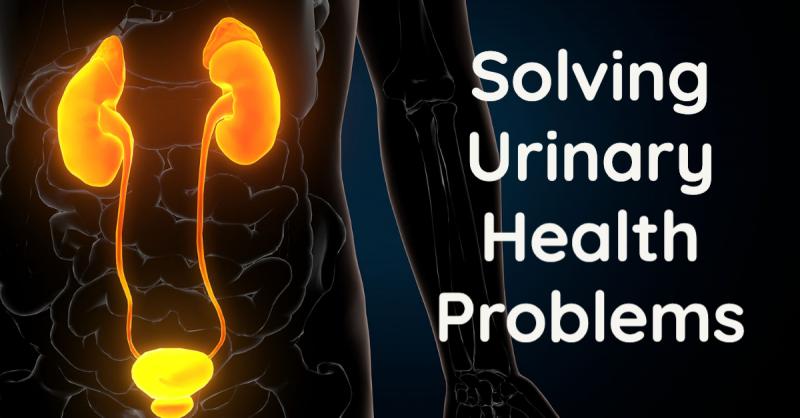 Solving Urinary Health Problems: Natural solutions to UTIs, kidney stones, cystitis, and other urinary health problems