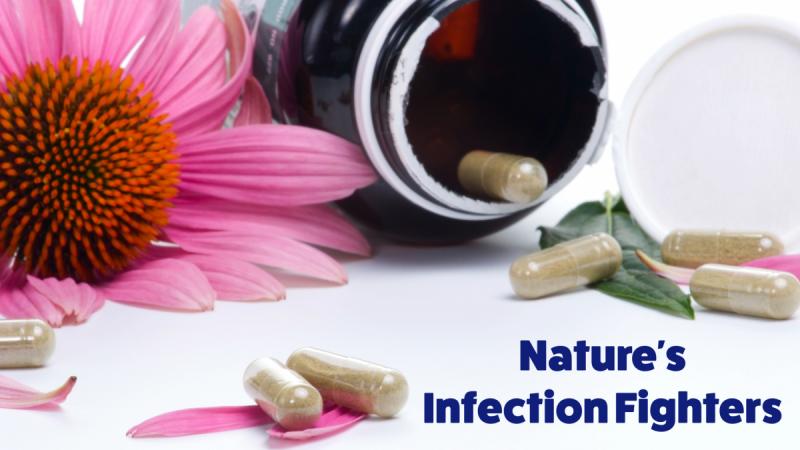 Nature's Infection Fighters: Don't fear the latest microbe! Keep your immune system strong with nature's infection fighters.