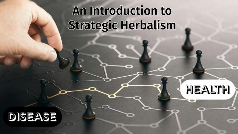 An Introduction to Strategic Herbalism: A Free Webinar on Restoring Health the Natural Way