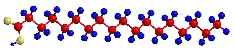 Fatty acid molecule