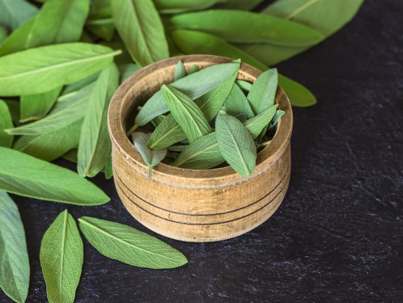 Sage: An Herb for Wisdom and Healing