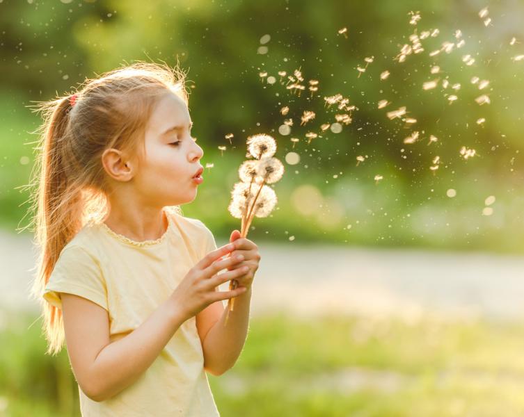 Blowing Dandelion Seeds