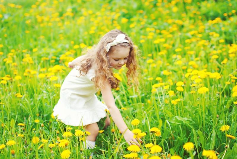 Girl Picking Dandelions