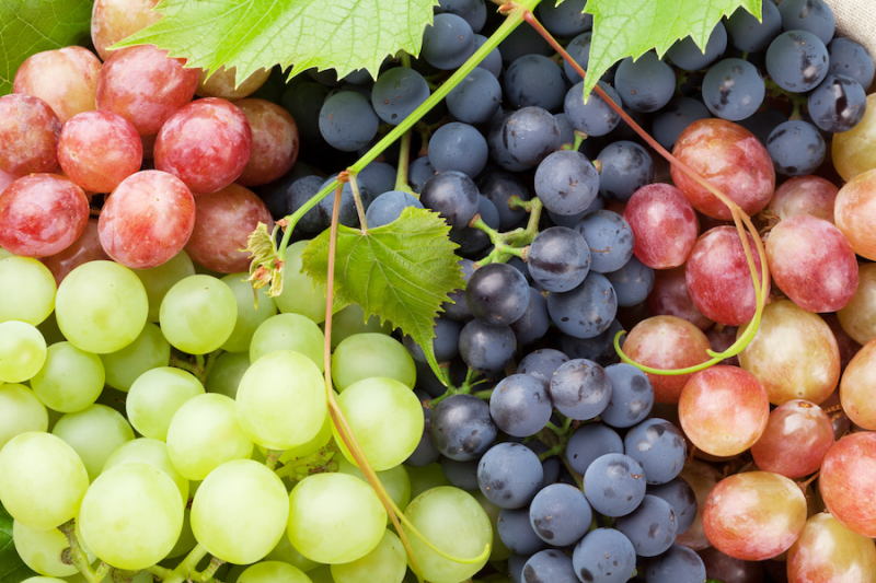 Different kinds of grapes