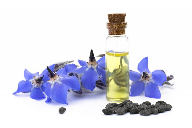 Borage oil with flowers