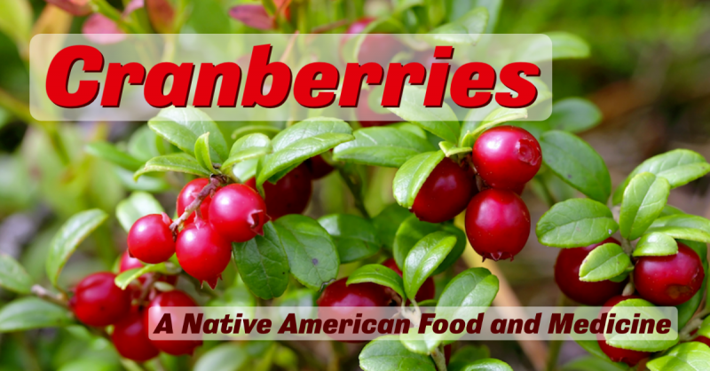 Cranberries: A Native American Food and Medicine: Best known for their ability to prevent UTIs, cranberries have other medicinal uses, too