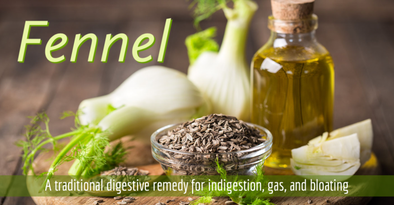Fennel: A traditional digestive remedy for indigestion, gas, and bloating