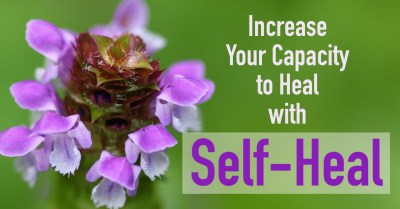Increase Your Capacity to Heal with Self-Heal: Self-heal can heal physical injuries but also promotes the belief in the innate ability to heal