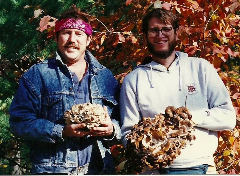 Kalman and Steven Harvesting Maitake